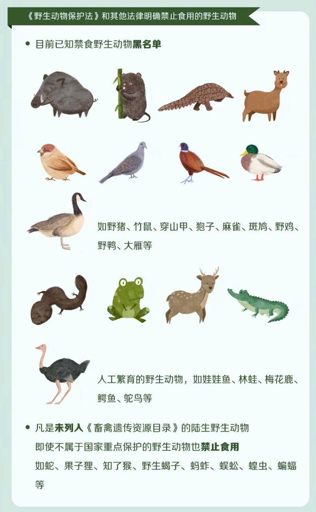 九家行业协会倡议抵制乱捕滥采滥食非法交易野生动植物.jpeg